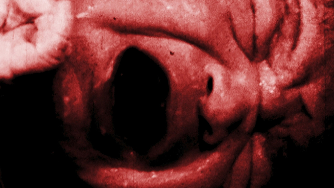 The Morning that changed Tomorrow backdrop