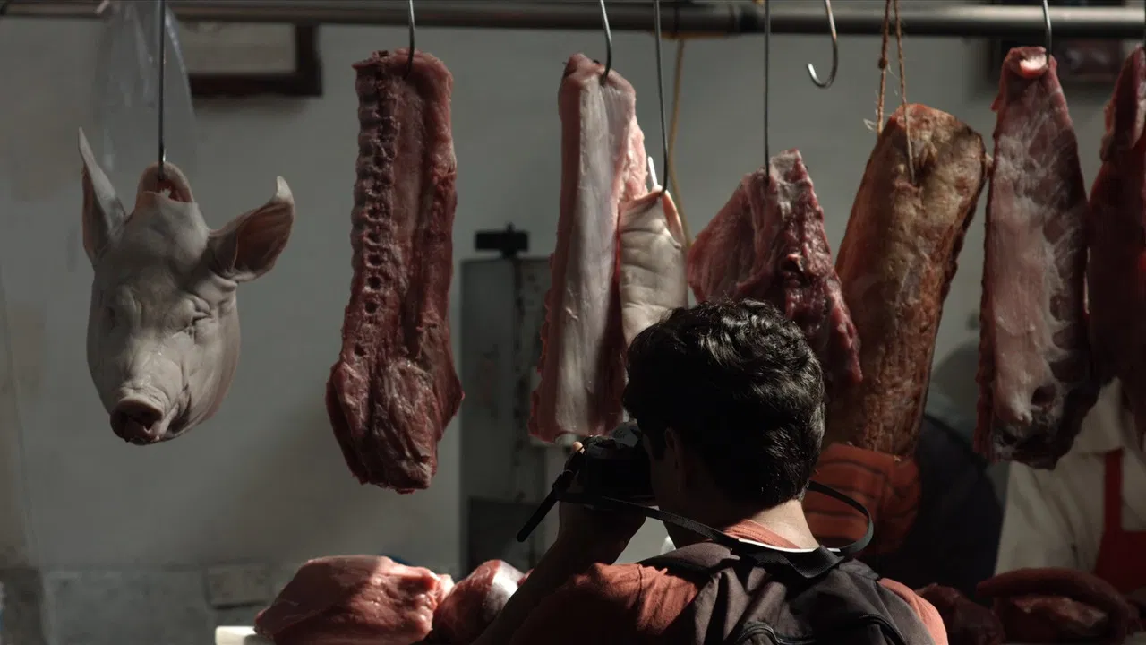 The Solitude of Images backdrop