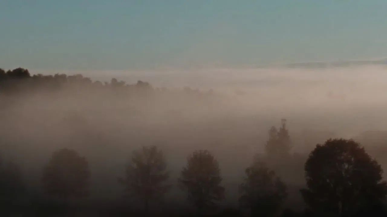 Autumn Sunrise backdrop