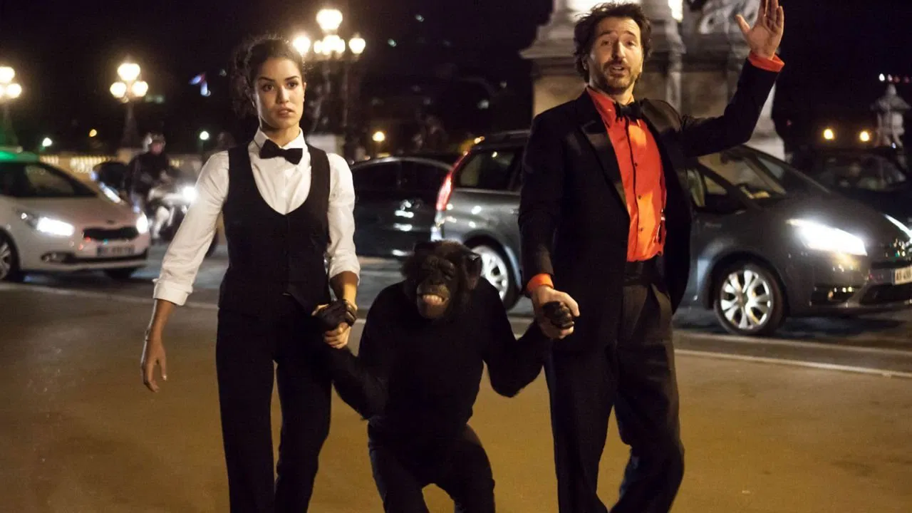 Open at Night backdrop