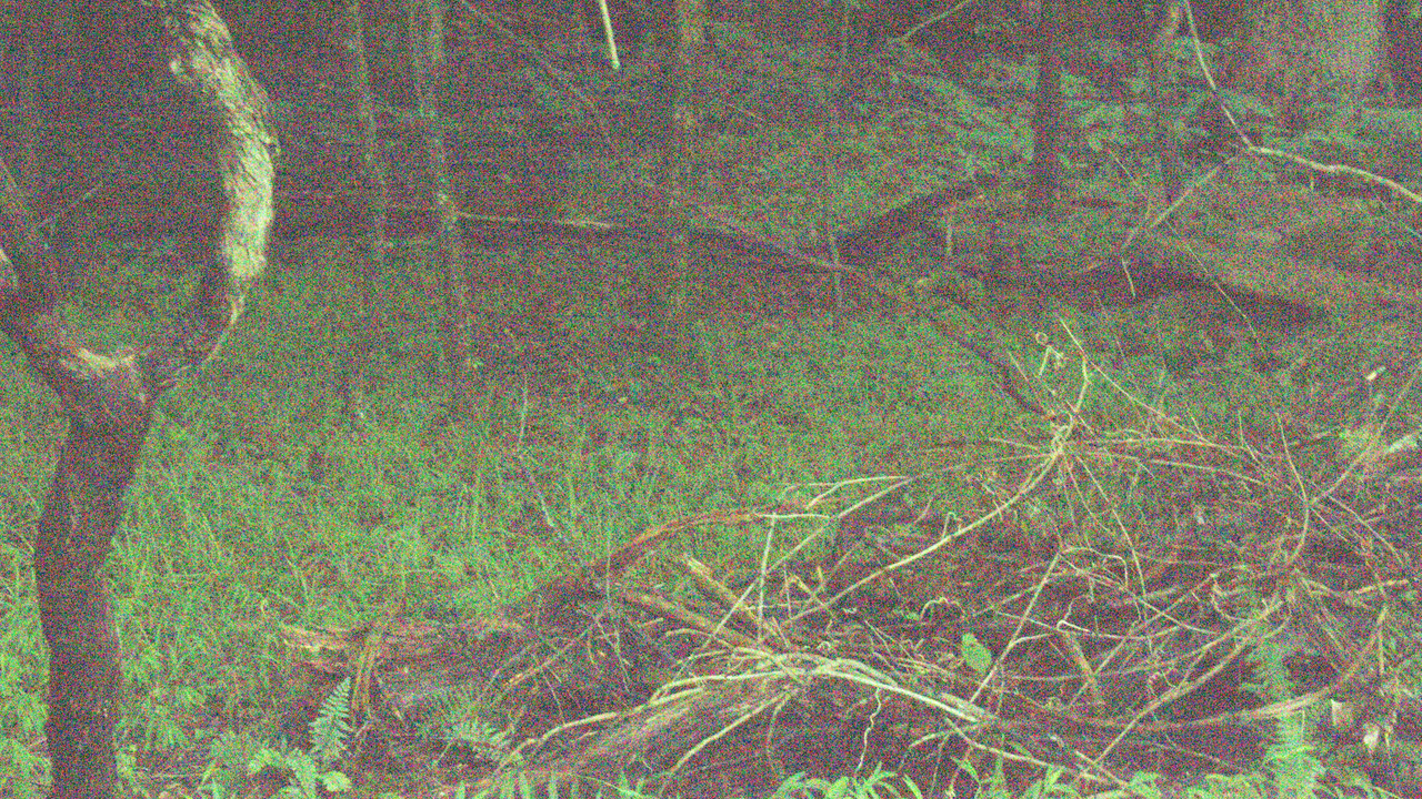 The Inventory backdrop