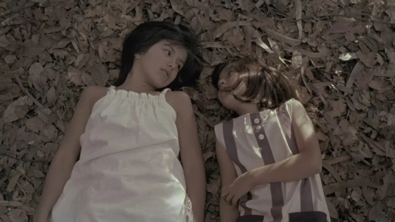 Violet Sunday backdrop