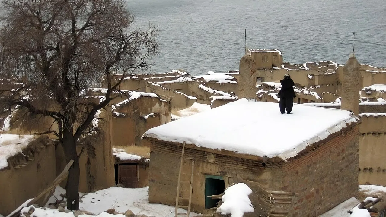 Snowy Dreams backdrop