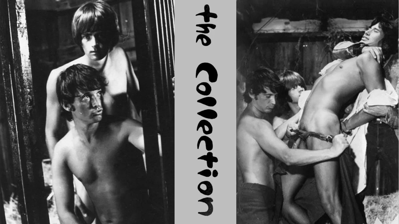 The Collection backdrop