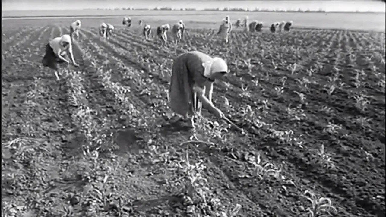 Declaration of Love backdrop