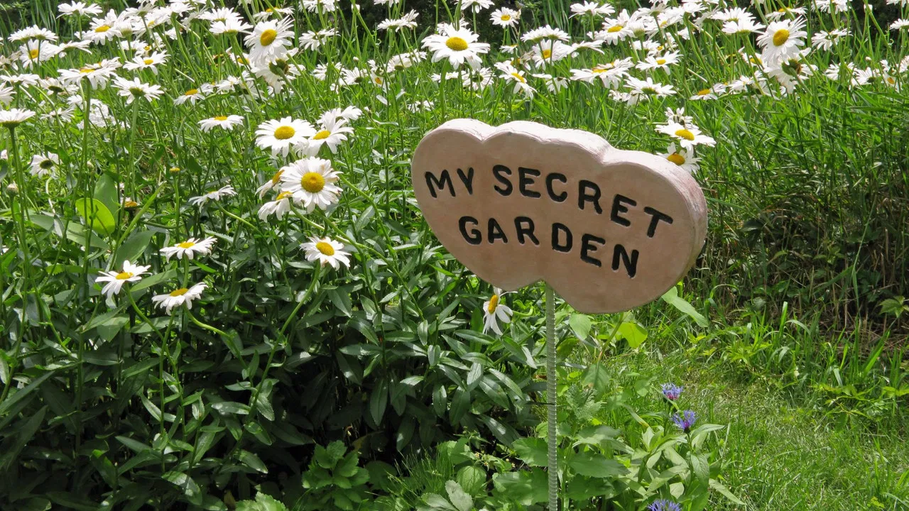 La vie secrète des plantes backdrop