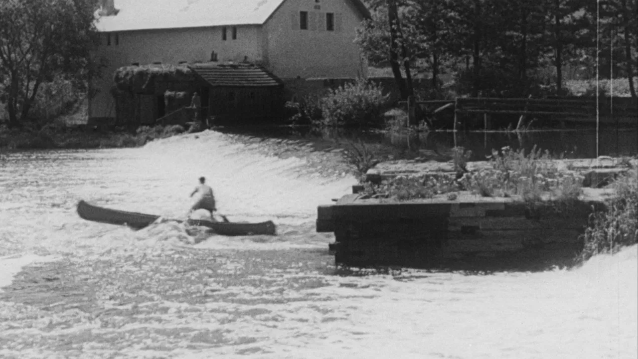 The Sun Shines On The River Lužnicí backdrop