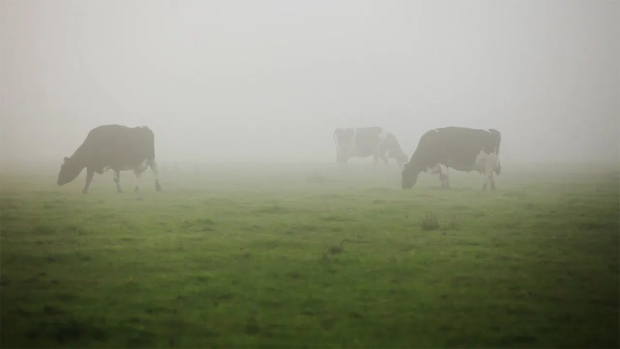 Les pieds sur terre backdrop