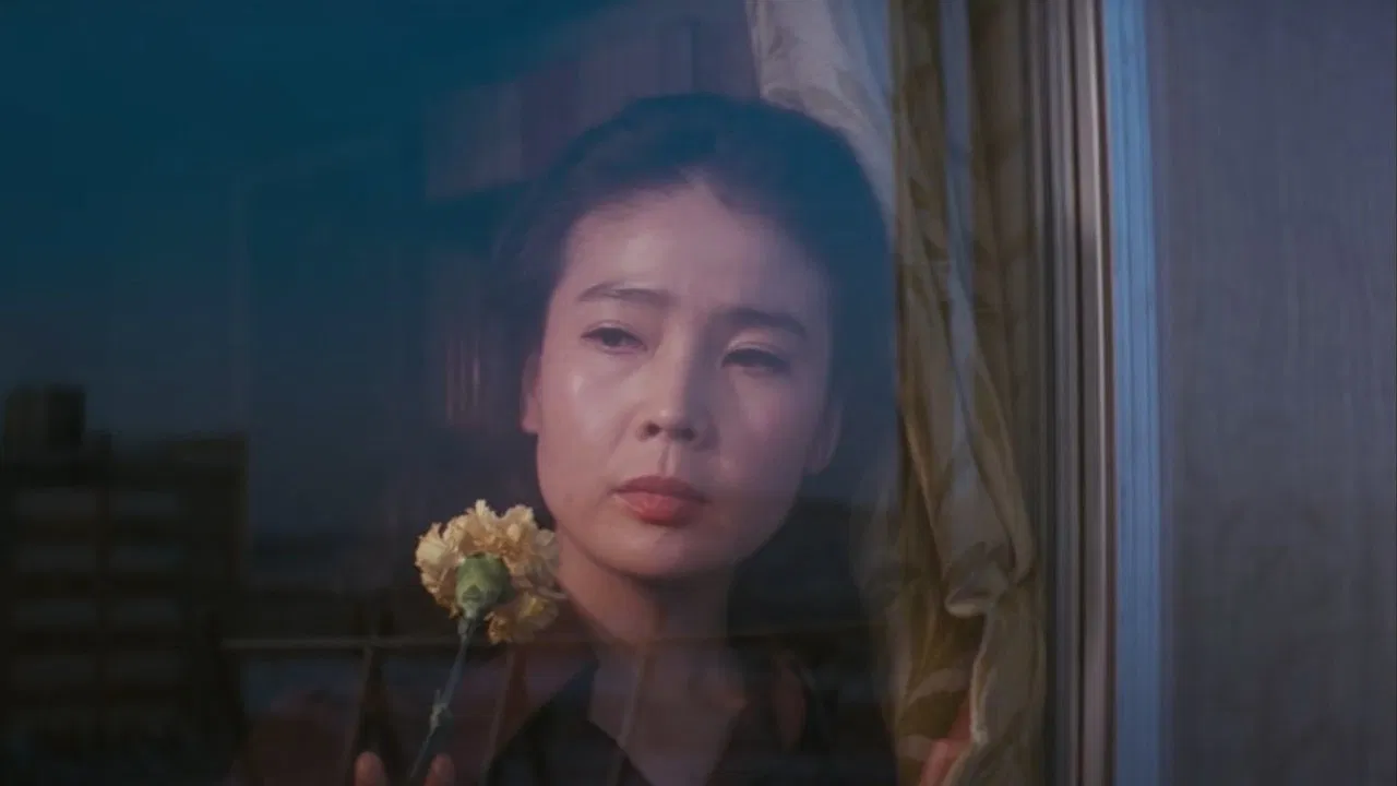 Night Journey backdrop