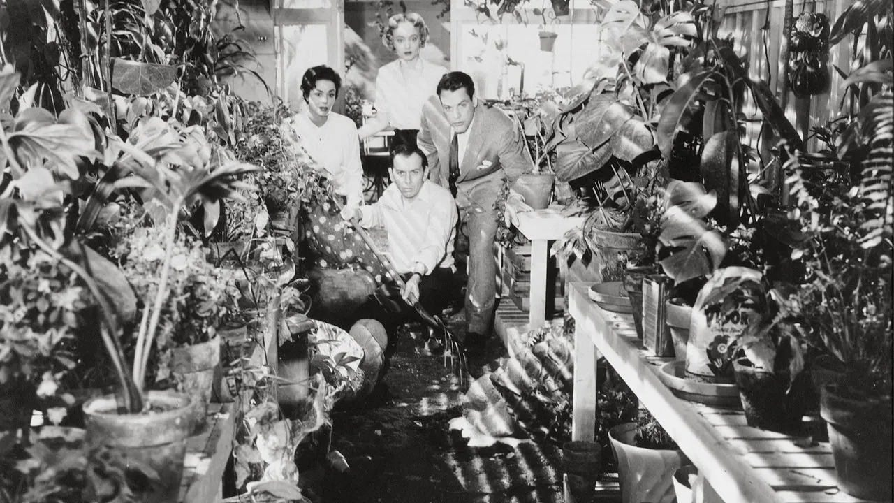 Invasion of the Body Snatchers backdrop