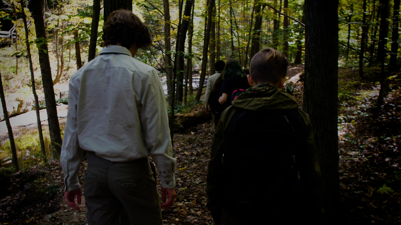 Hungarian Scouts backdrop