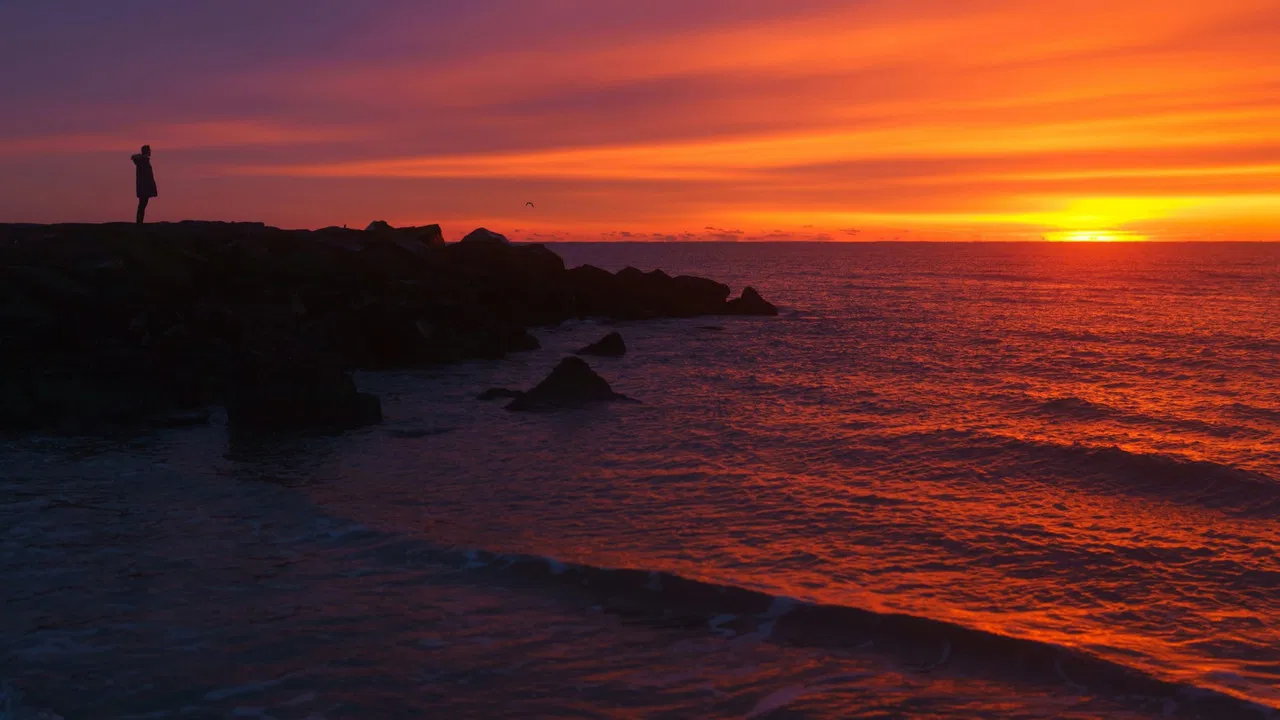 Hello, Goodbye backdrop