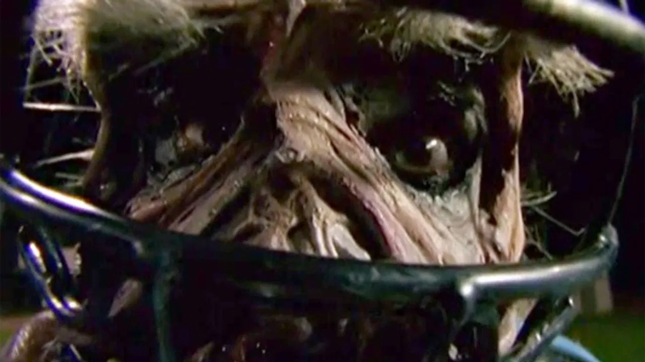 Goosebumps: Chillogy backdrop