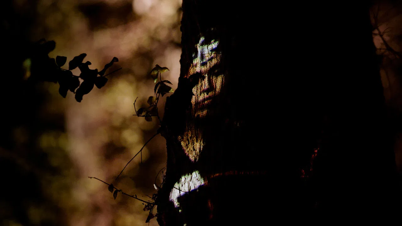 La búsqueda del otro backdrop