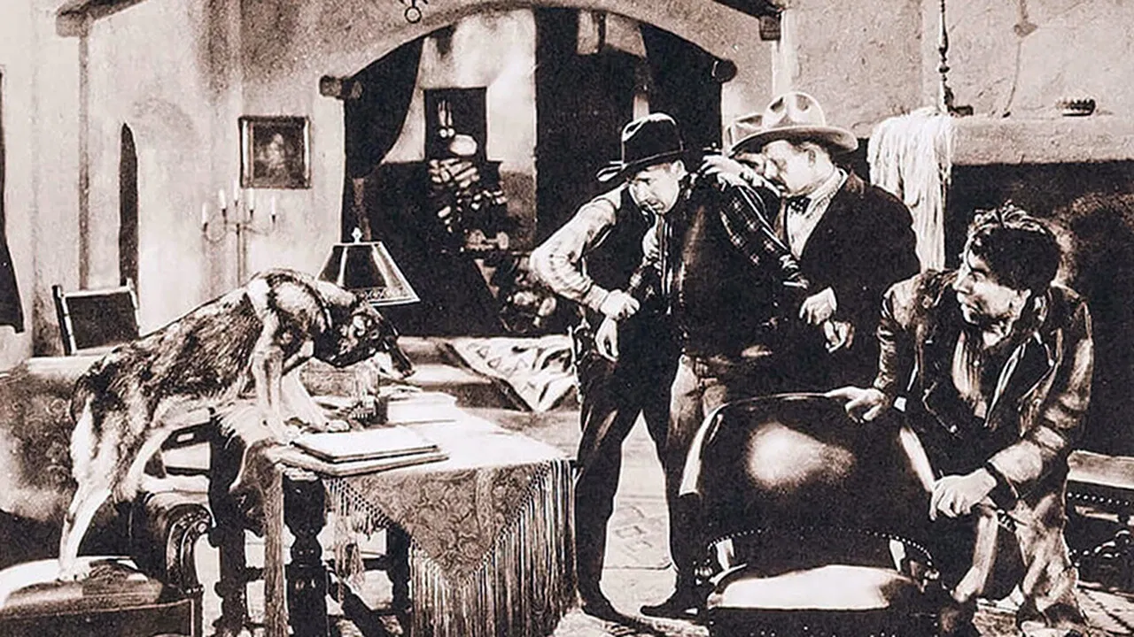 The Lone Defender backdrop