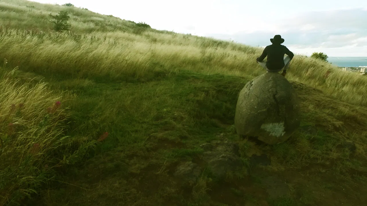 Future Sparrow backdrop