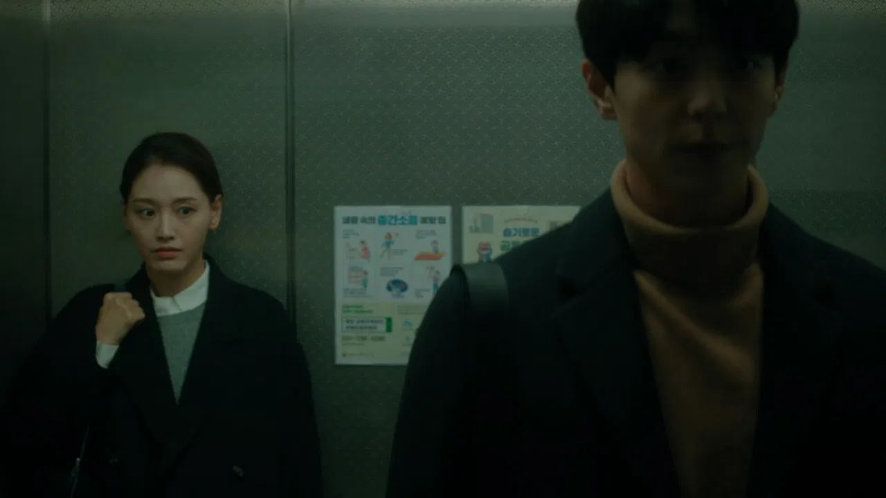 Flowers of Mold backdrop