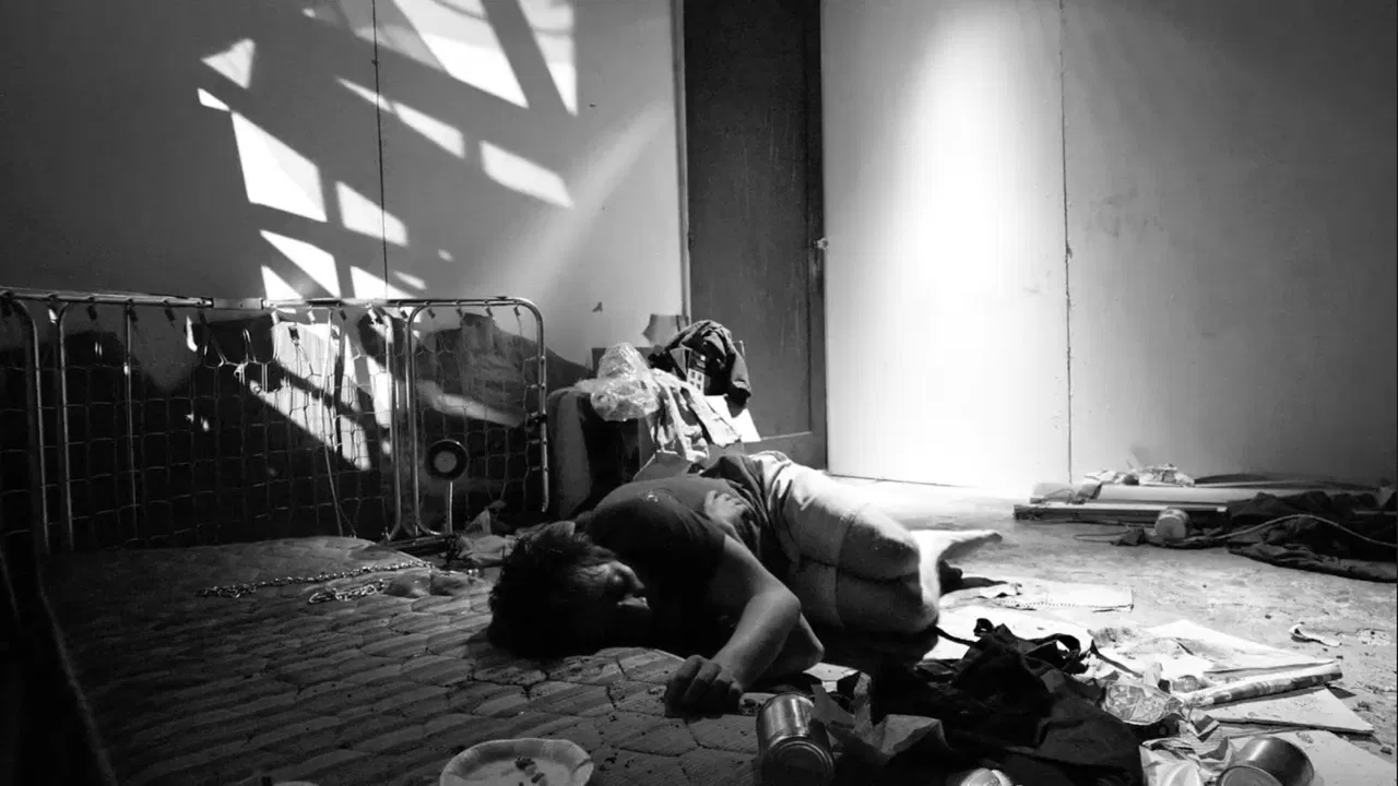 Perros Serán backdrop