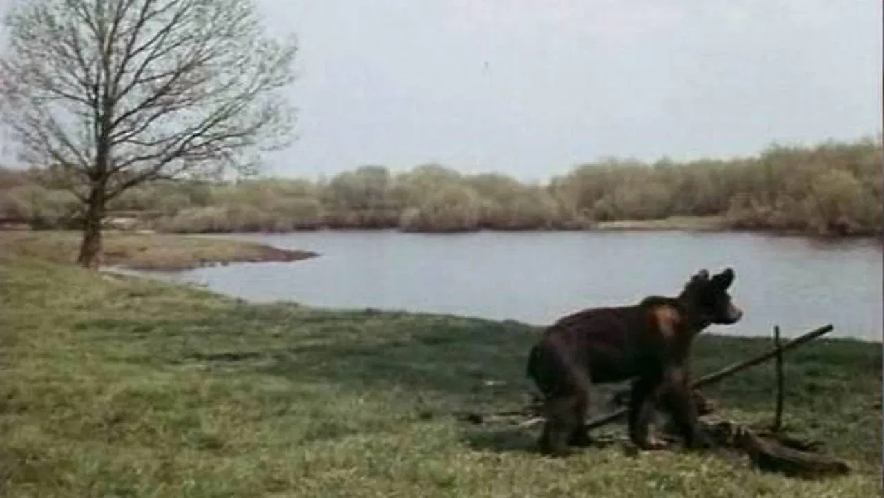 Little Bear, Baby and Others backdrop