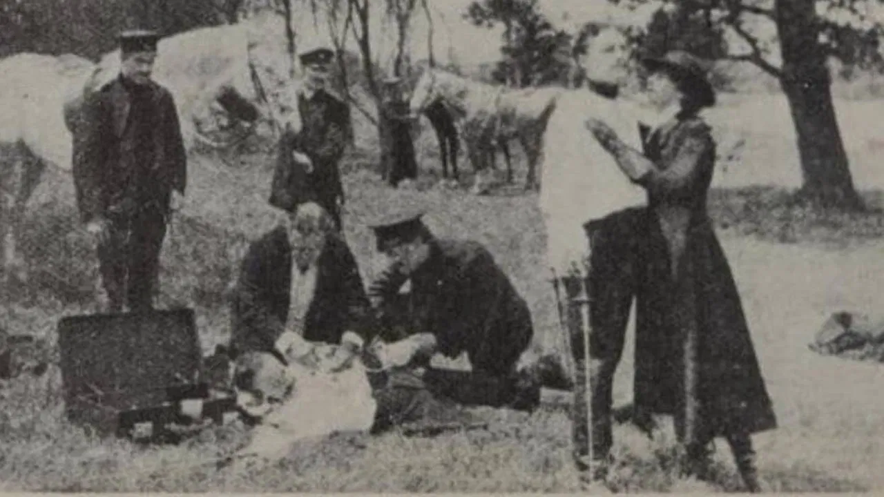 The Midnight Wedding backdrop