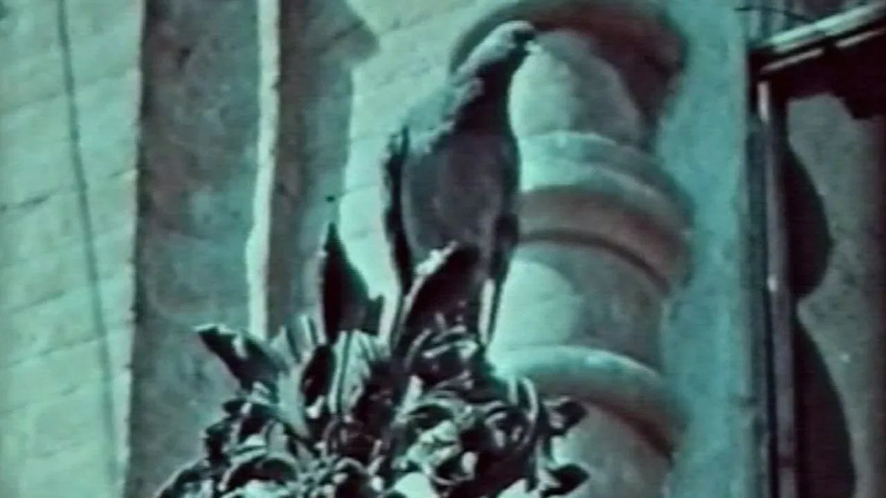 Cast Iron Lace backdrop