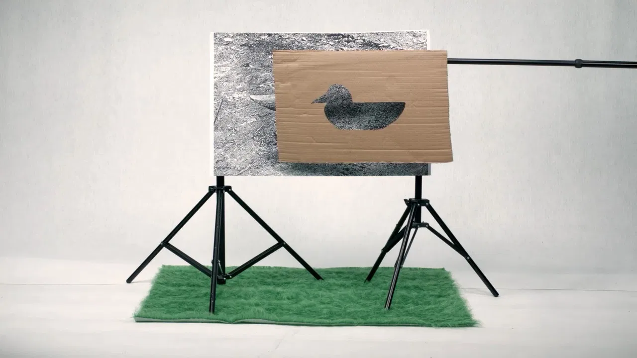 Special Works School backdrop