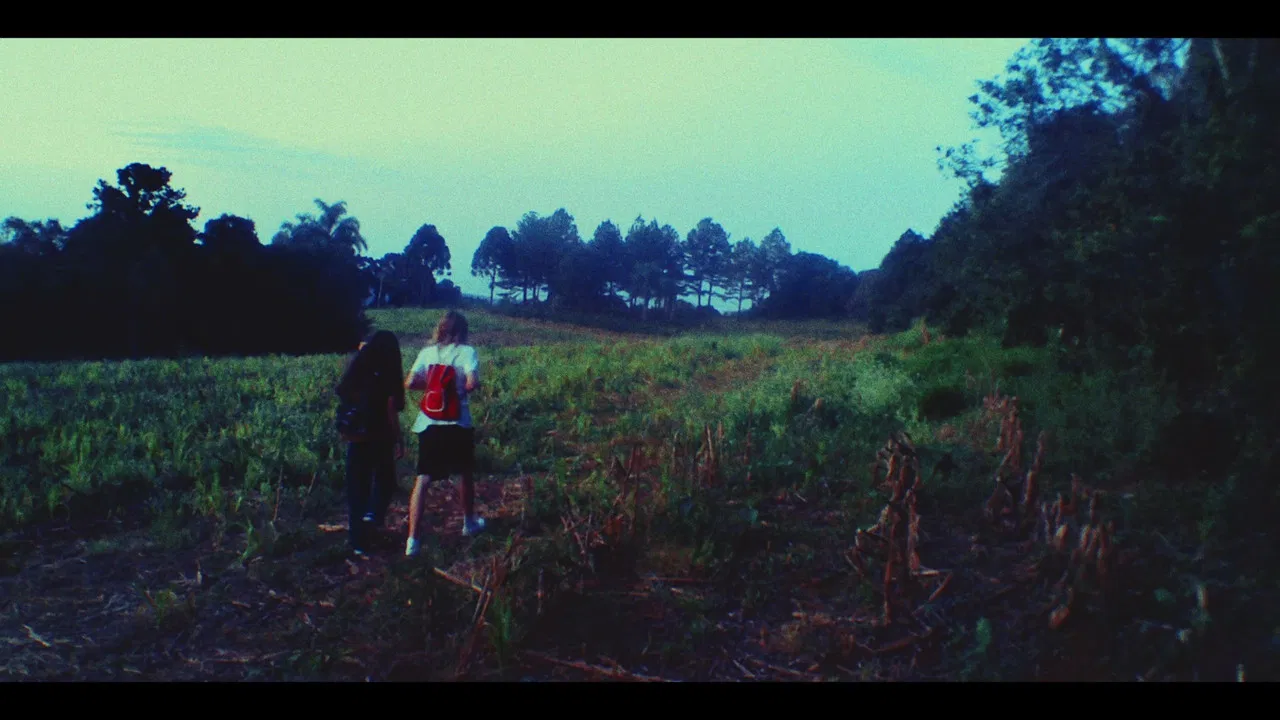 The Fake News Gnome backdrop