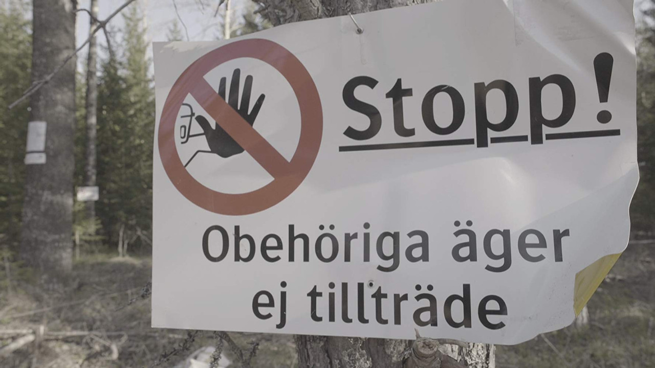 Documenting the Witch Path backdrop