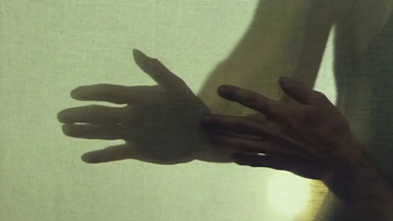 Weht die Angst, so weht der Wind backdrop