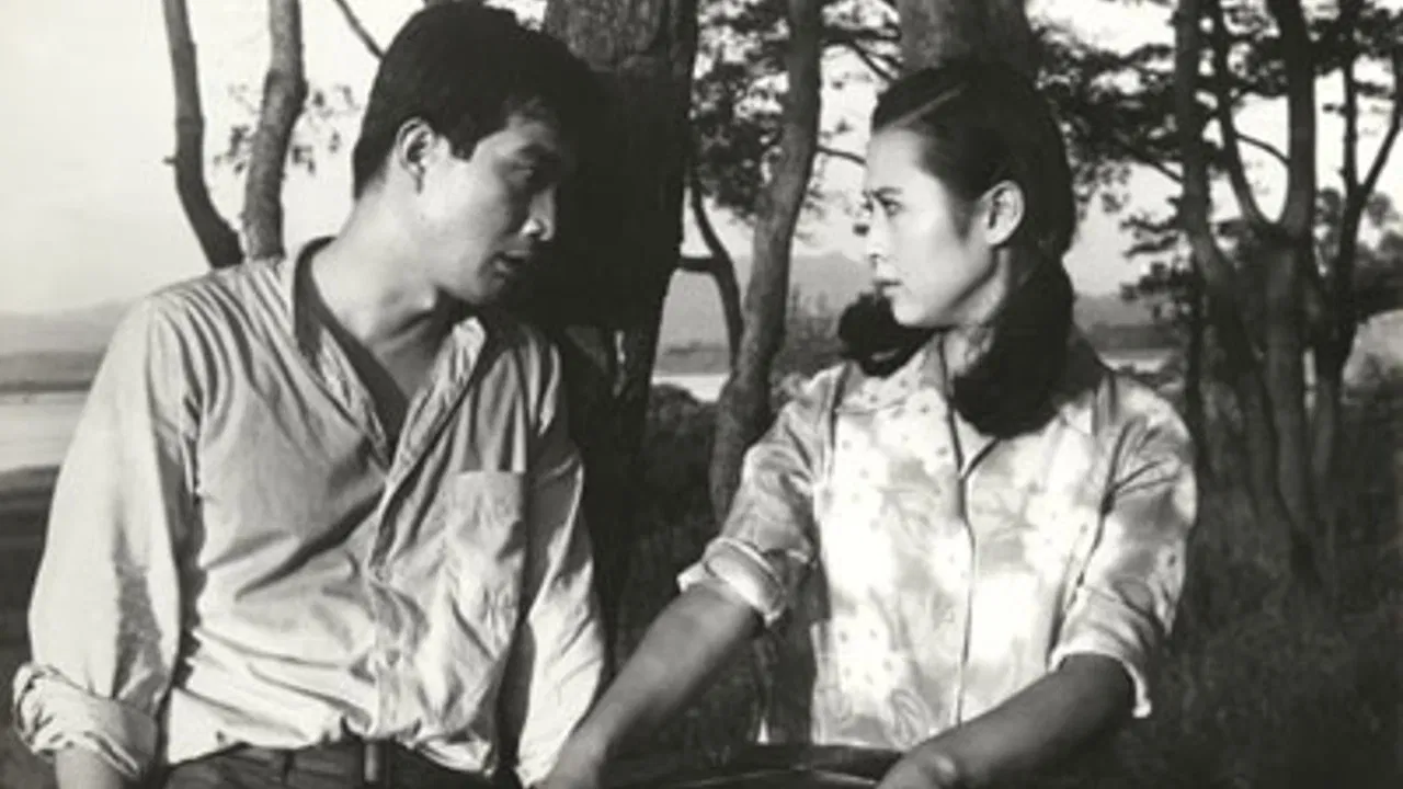 Sound of Magpies backdrop