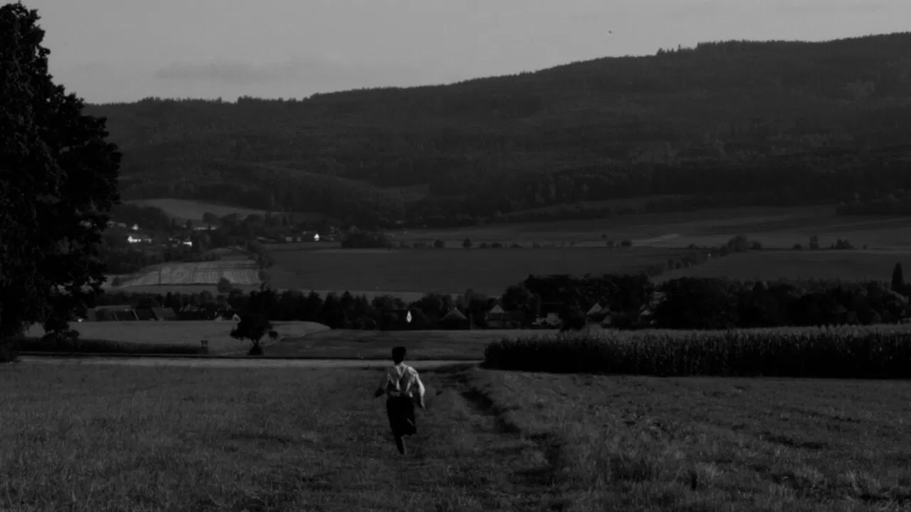 The Painter backdrop