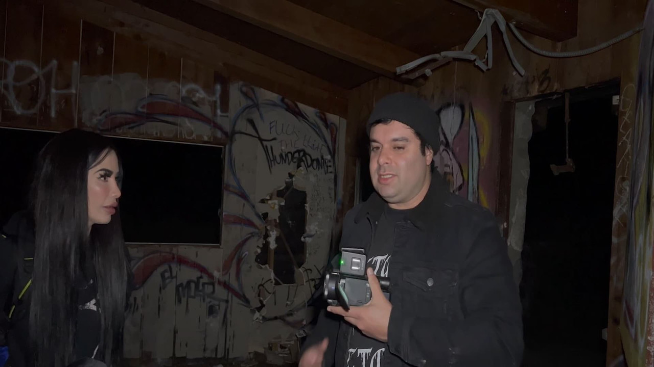 The Dead Follows backdrop