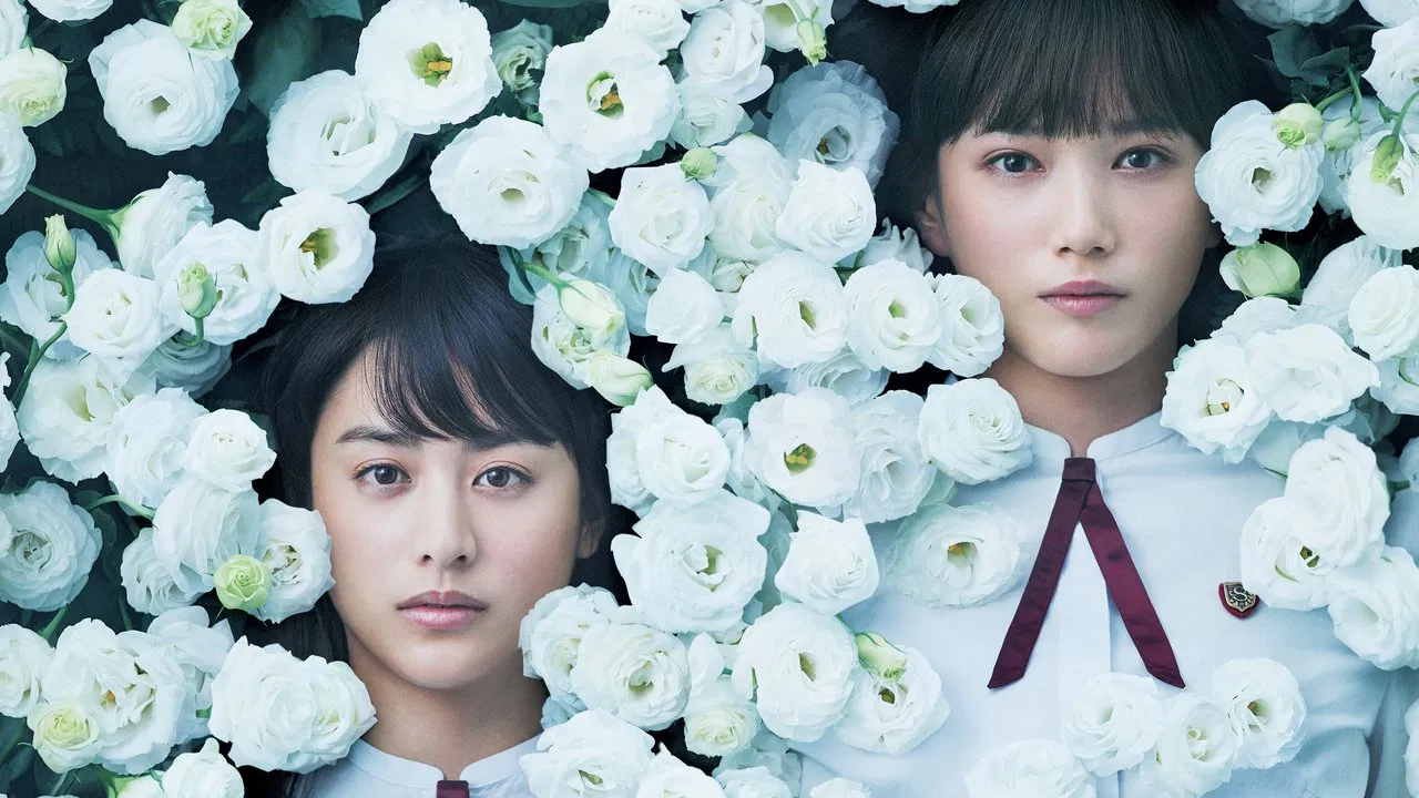 Night's Tightrope backdrop