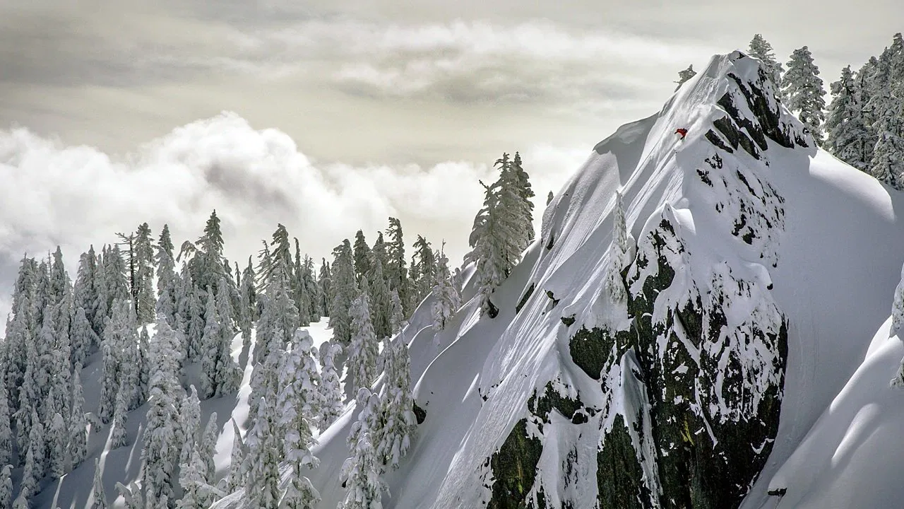 Drop Everything backdrop