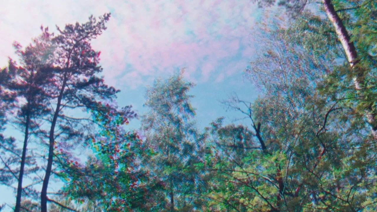 Rojo Žalia Blau backdrop