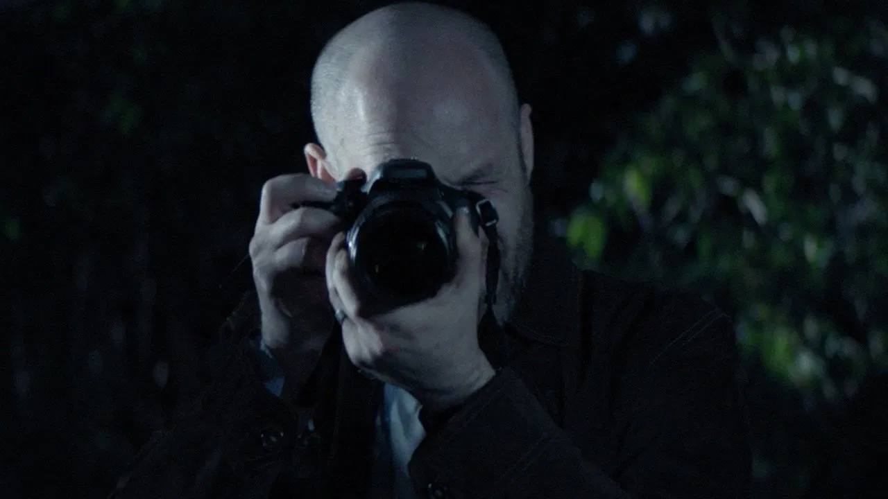 Goodbye, Butterfly backdrop