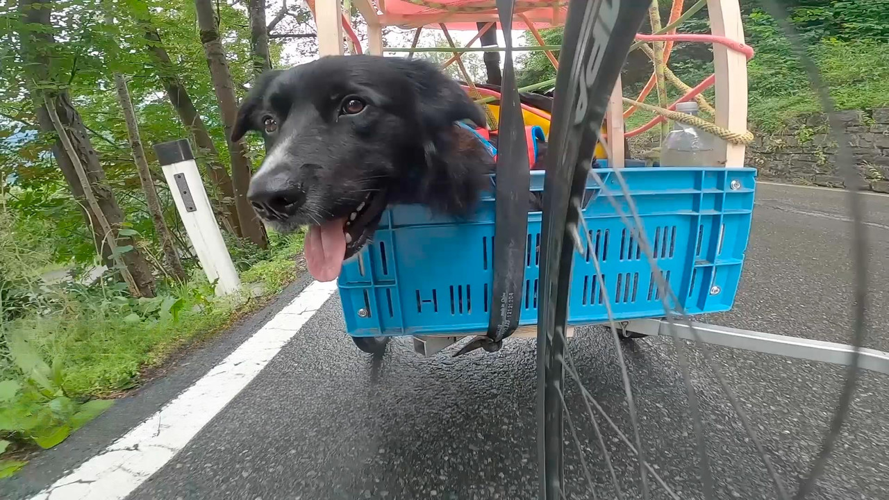 Alpine Trilogy backdrop