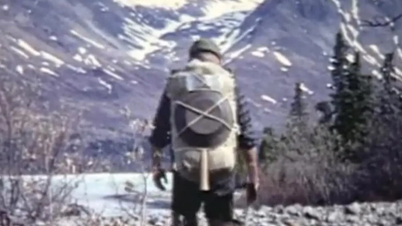 Alone in the Wilderness backdrop