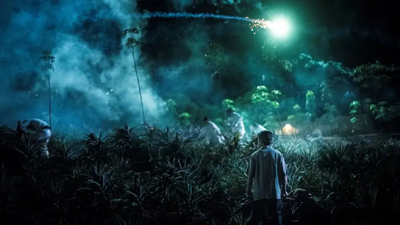 West Border backdrop