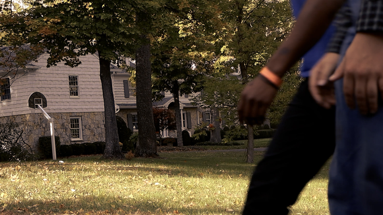 The Fields of Abbottsville backdrop