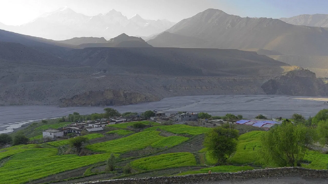 Blue Kangling backdrop