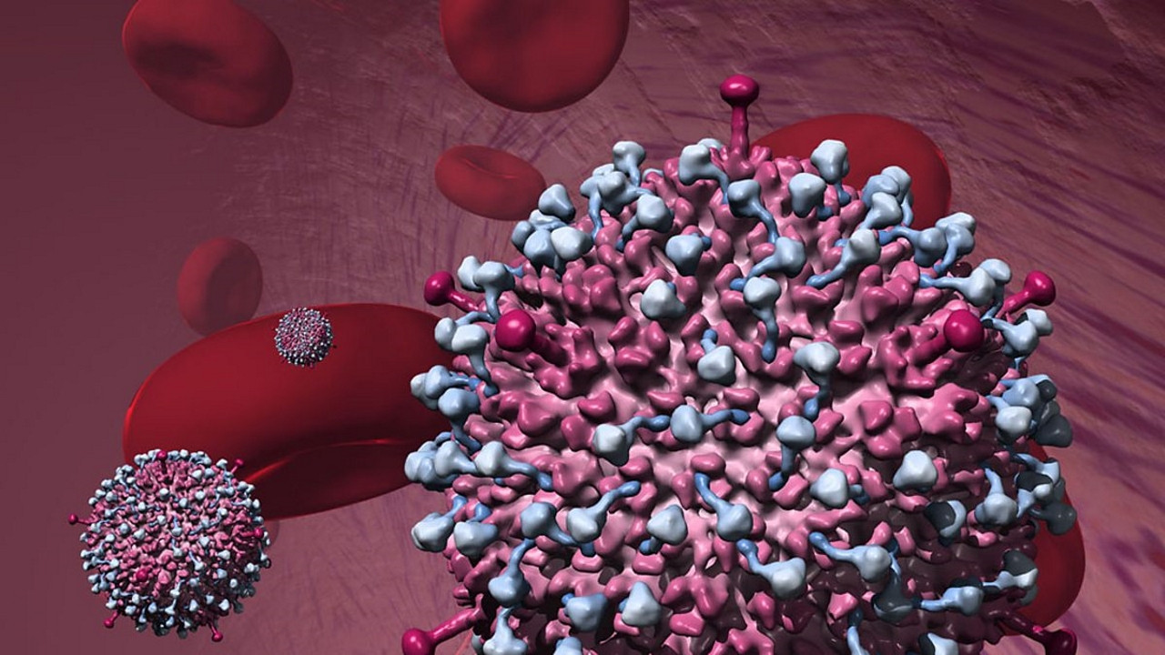 Why Do Viruses Kill? backdrop