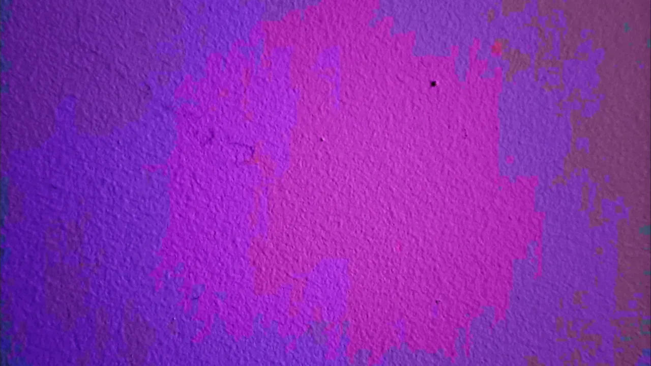 a tiny bug crawls across a wall backdrop