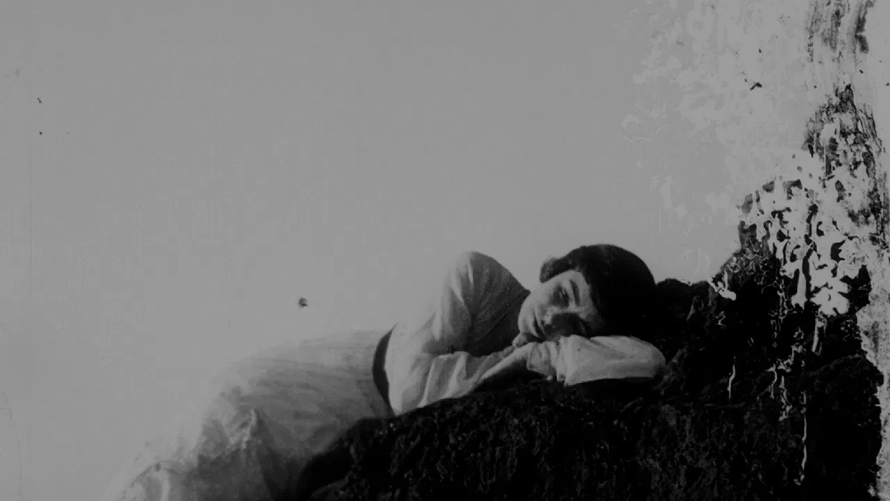 Barriers of Society backdrop