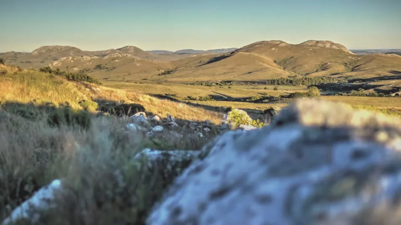 Wild Uruguay backdrop