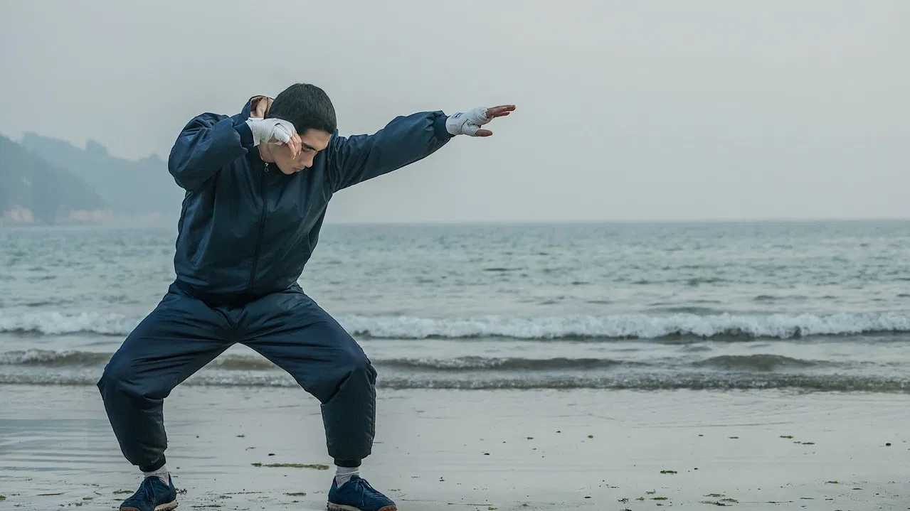 My Punch-Drunk Boxer backdrop