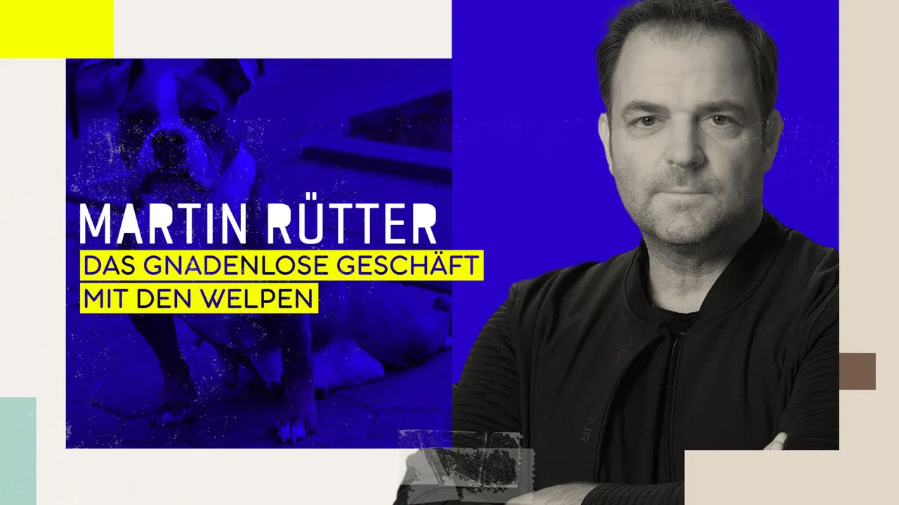 Martin Rütter - Das gnadenlose Geschäft mit den Welpen backdrop