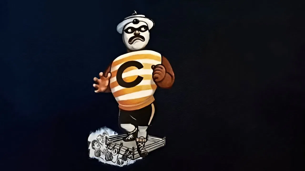 Cada quién su lucha backdrop