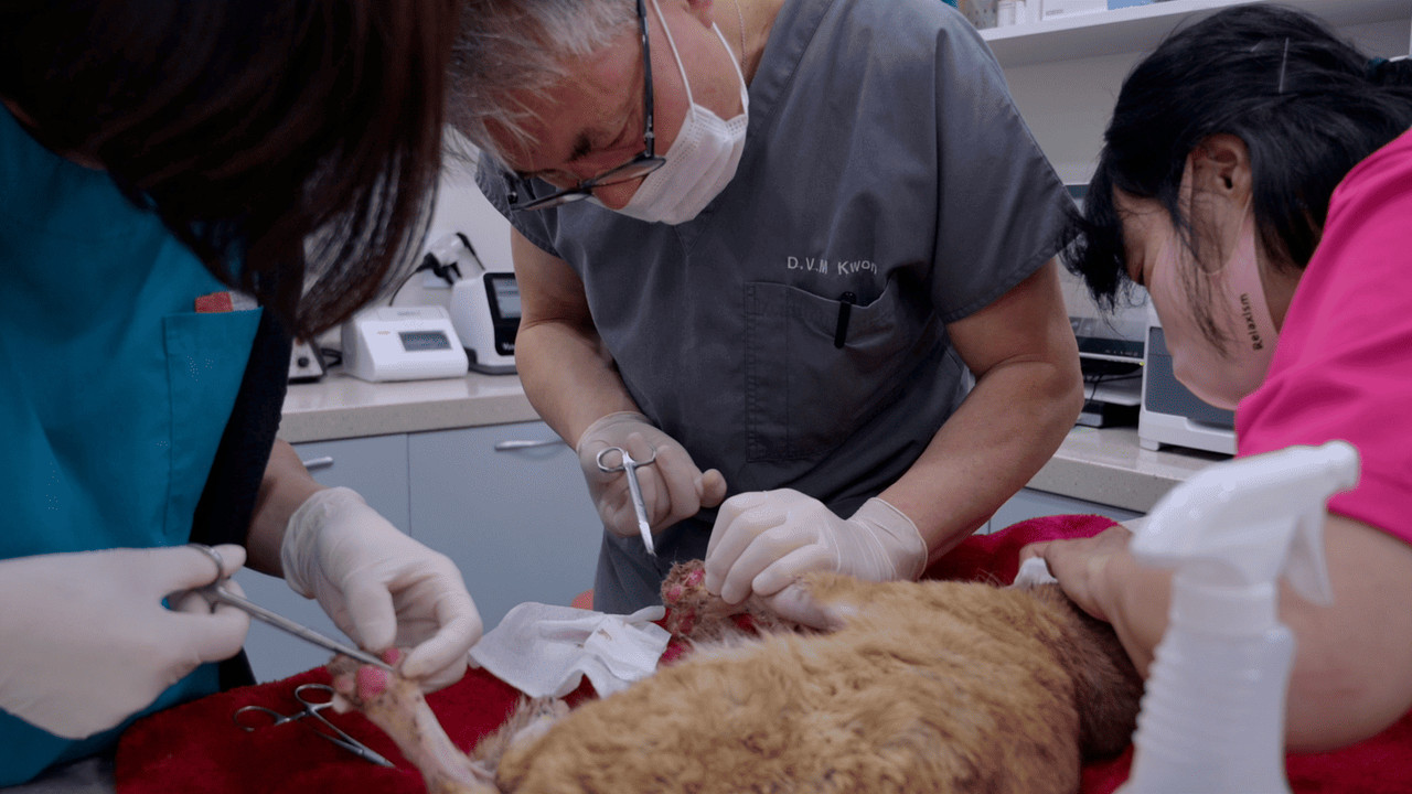 Luckily I Survived backdrop