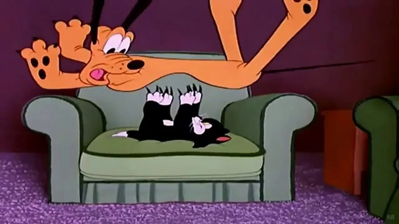 Cat Nap Pluto backdrop